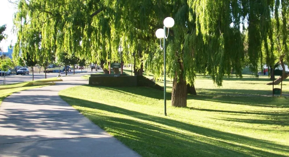 Contemplan la idea de censar los árboles en Viedma