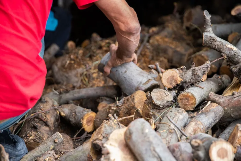 Avanza el Plan Calor: Distribución de leña y apoyo a la calefacción