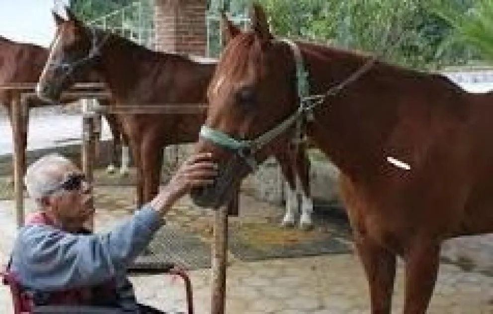 El Jockey Club Viedma apuesta fuerte a la equinoterapia