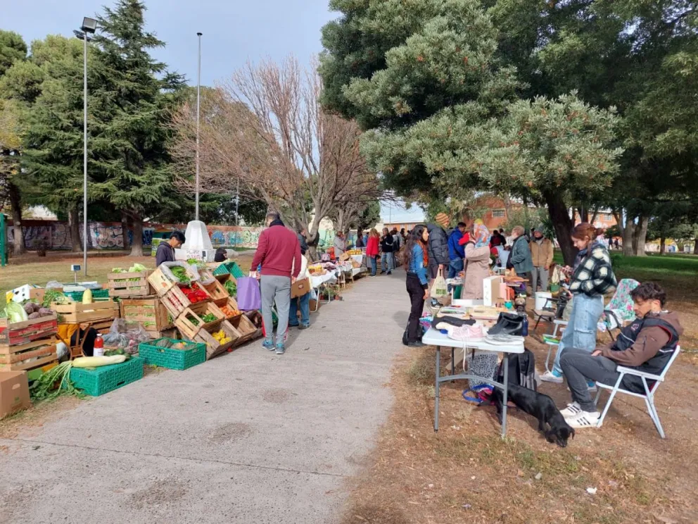 La plaza Primera Junta se llenó de alimentos saludables
