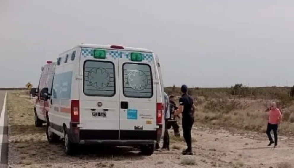 Una familia de Viedma se salvó de milagro cuando se cruzó un caballo en la ruta 250