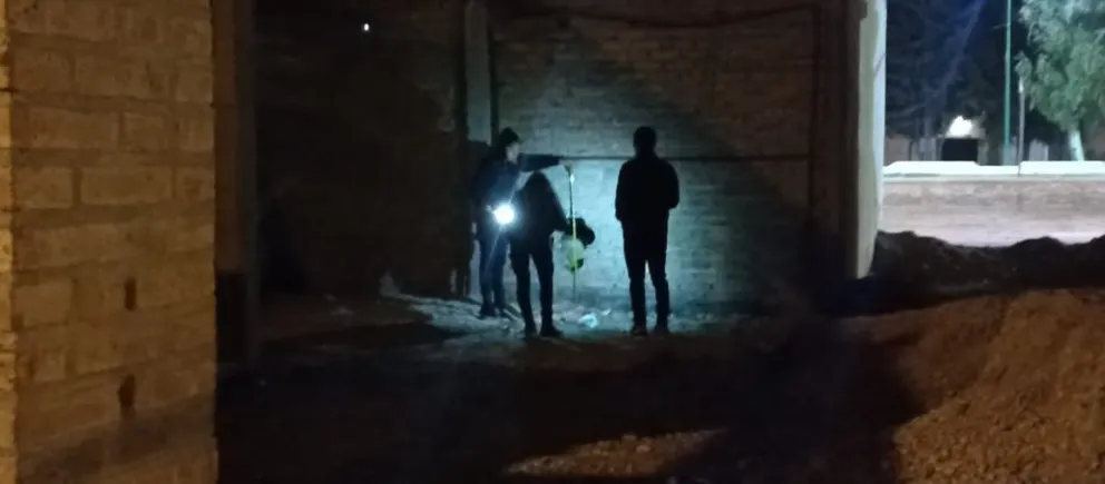 Hicieron un boquete en una farmacia, pero sonó la alarma y se quedaron con las manos vacías