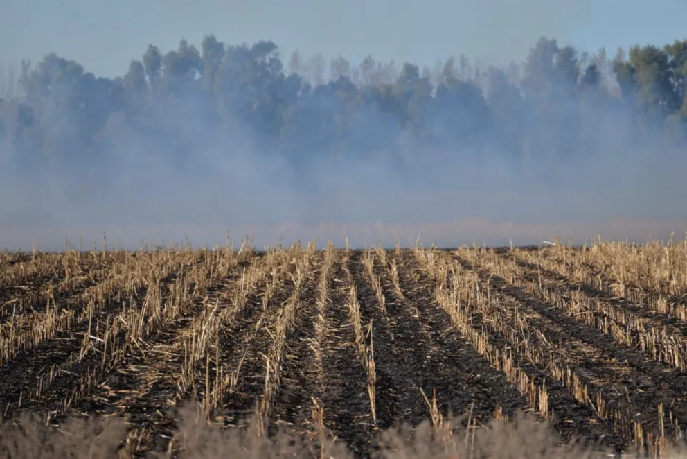 La quema de un campo llenó de humo y de preocupación a la ciudad