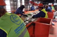 Los recicladores de Viedma sudan la gota gorda por el doble trabajo