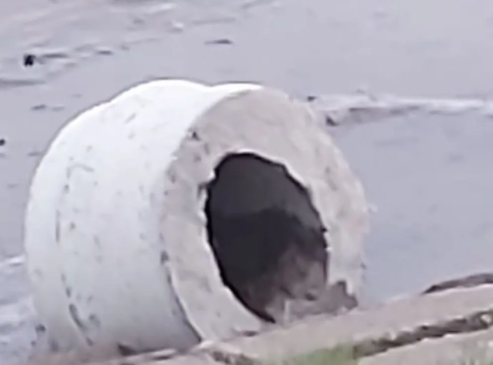 No duran los muebles de cemento en la costanera: hay un tercer acto de barbarie