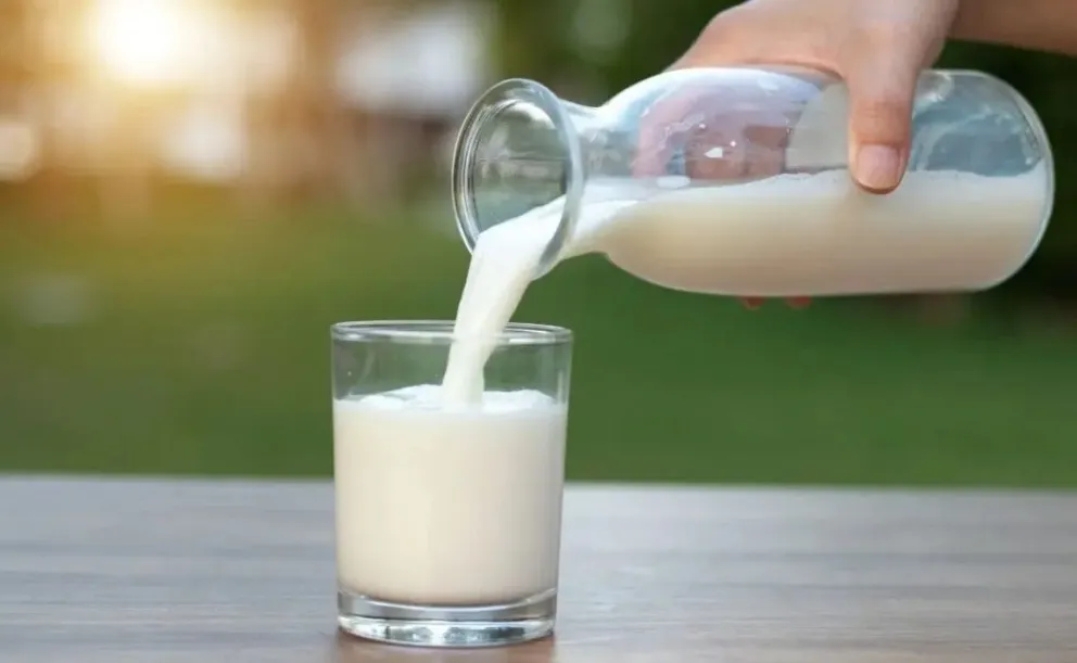 Día mundial de la leche: por qué se celebra y qué beneficios tiene este superalimento