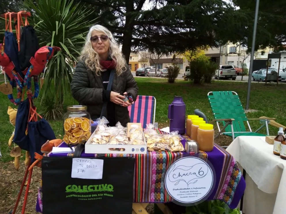 "Chacra 6", una alternativa agroecológica en deshidratados e Infusiones