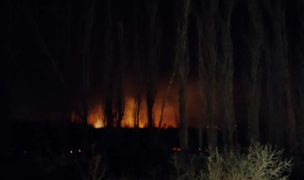 Incendio en la zona del IDEVI: varios cuadros quemados y algunas chacras quedaron sin luz