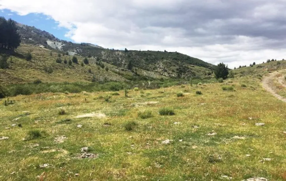 Compró un campo en Bariloche y denunció que el administrador firmó un alquiler a 20 años sin su conocimiento