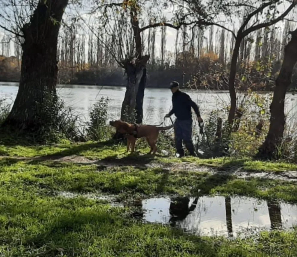 La tarea de la División Canes de la Policía de Río Negro fue fundamental para hallarlo con vida