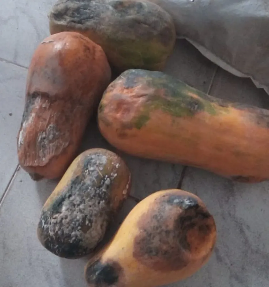  Compró bolsas de verduras a domicilio en Viedma y estaba toda podrida: reclamó y recibió insultos 