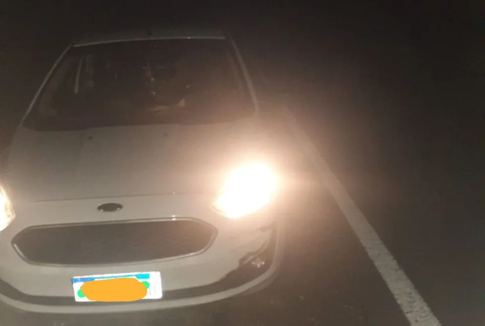 Se les cruzó una manada de jabalíes y terminaron chocando contra un barraco